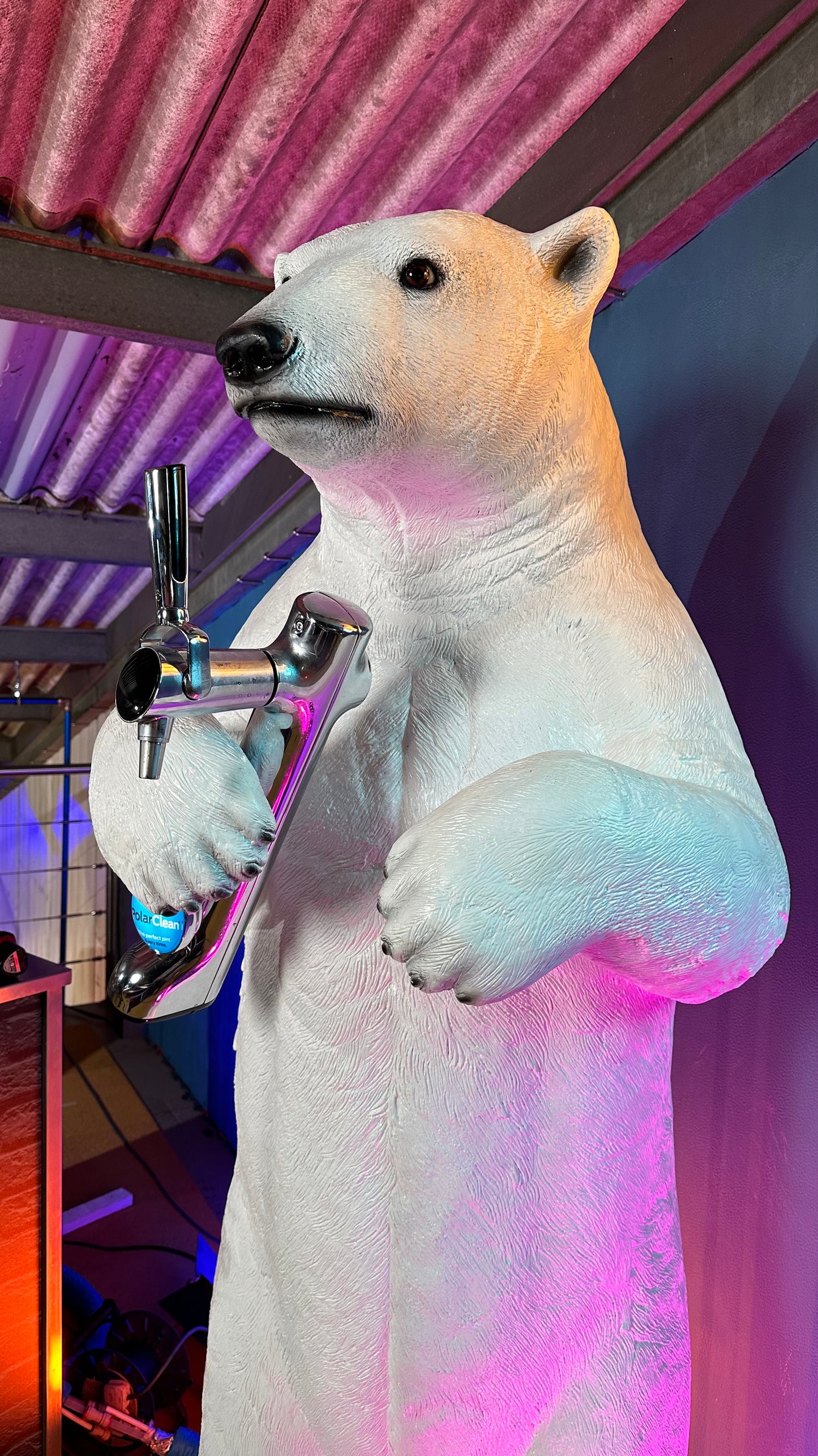 Polar Bear Bar